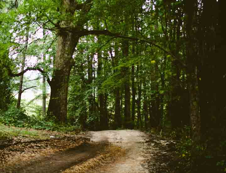 手机版ddos攻击器